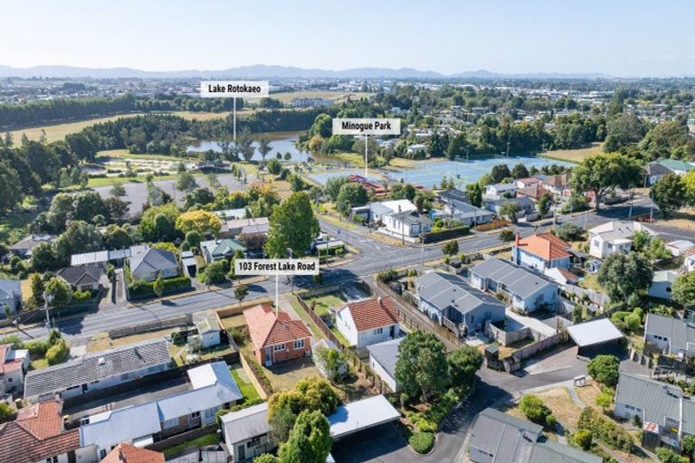 Photo of property in 103 Forest Lake Road, Forest Lake, Hamilton, 3200