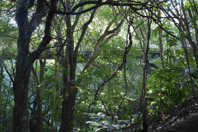 Photo of property in 52 Howard Road, Point Howard, Lower Hutt, 5013