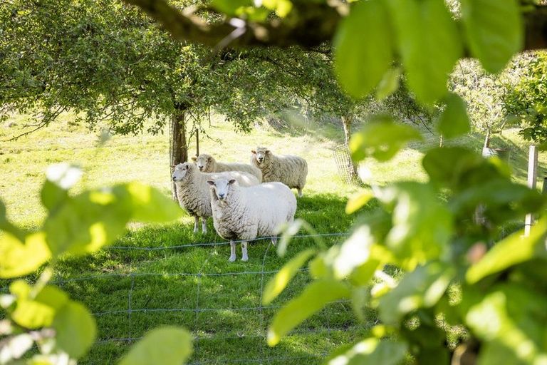 Photo of property in 24 Ralston Street, Allanton, Mosgiel, 9092