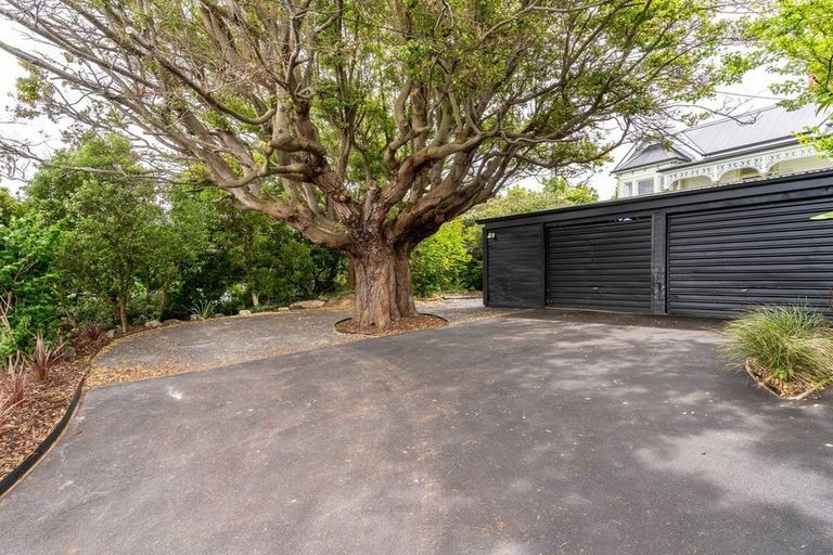 Photo of property in 22 Neidpath Road, Mornington, Dunedin, 9011