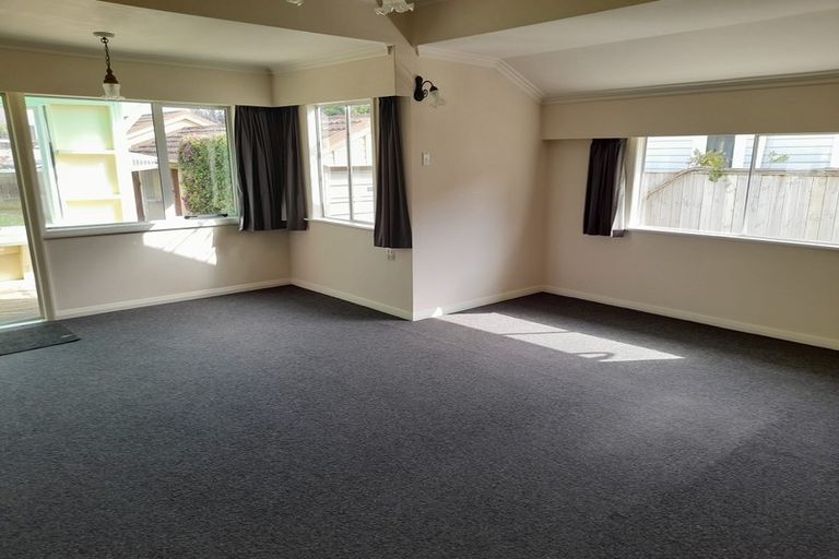 Photo of property in 38 Miro Street, Takaro, Palmerston North, 4410