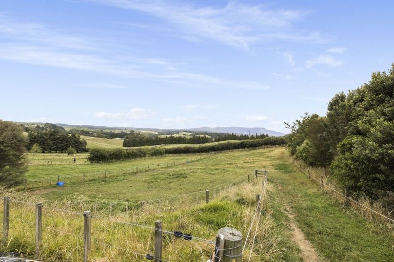 Photo of property in 598 Esdaile Road, Whakamarama, Tauranga, 3180