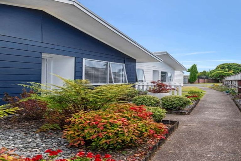 Photo of property in 40b Matavai Street, Mount Maunganui, 3116