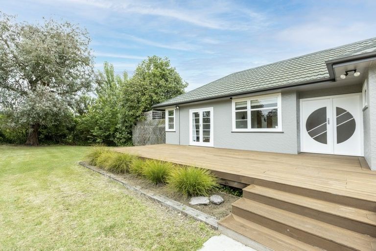 Photo of property in 41 Rogers Road, Bay View, Napier, 4104