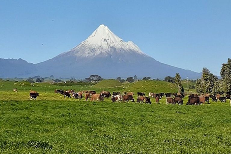 Photo of property in 396 Cape Road, Pungarehu, Opunake, 4685