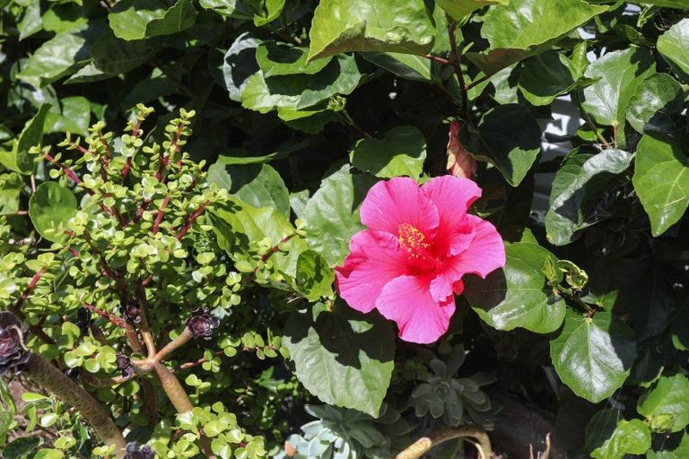 Photo of property in 35 Marlin Place, Whiritoa, Whangamata, 3691