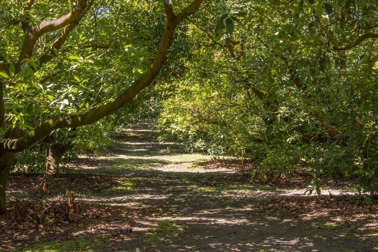 Photo of property in 507 Old Highway, Whakamarama, Tauranga, 3180