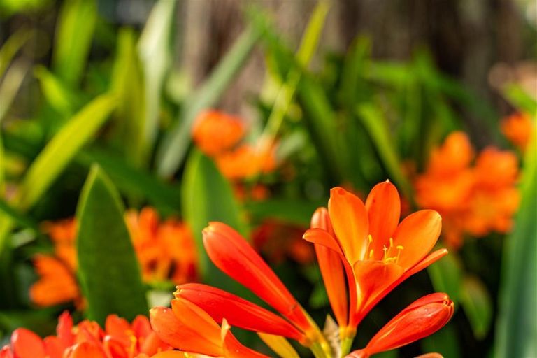 Photo of property in 48b Wilson Road, Warkworth, 0981