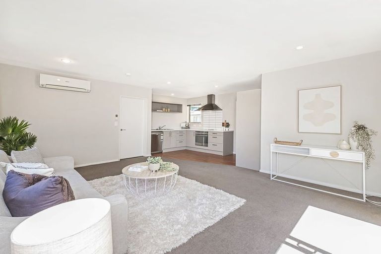 Photo of property in 54 Thackeray Place, Waltham, Christchurch, 8023