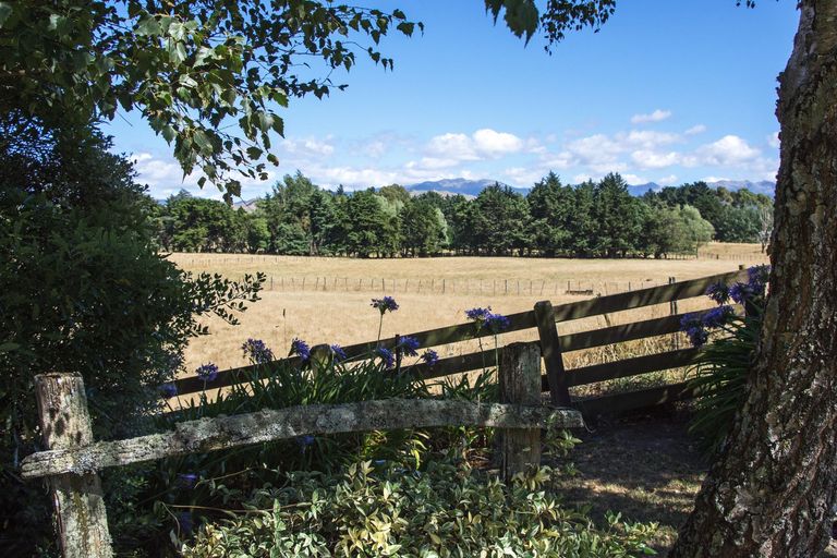 Photo of property in 317 West Bush Road, Upper Plain, Masterton, 5888