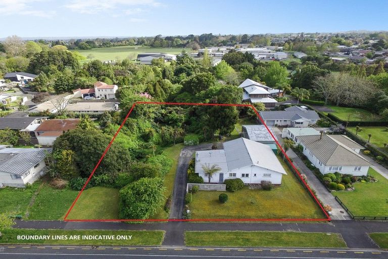 Photo of property in 123 Clarkin Road, Fairfield, Hamilton, 3214