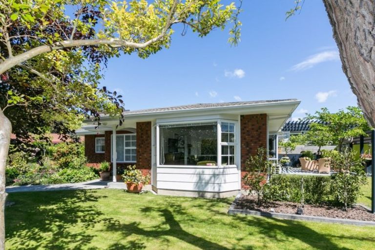 Photo of property in 8 Shortland Place, Havelock North, 4130