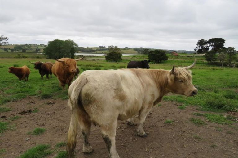 Photo of property in 23 Church Road, Matakohe, 0593