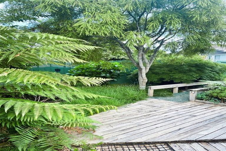 Photo of property in 36a Lancaster Street, Dinsdale, Hamilton, 3204