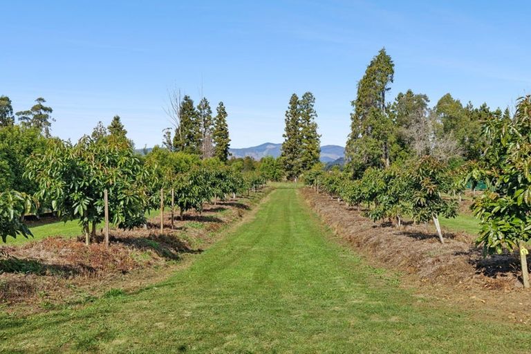 Photo of property in 120 Patons Rock Road, Patons Rock, Takaka, 7182