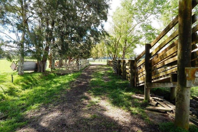 Photo of property in 421 Haringa Road, Carrington, Carterton, 5791