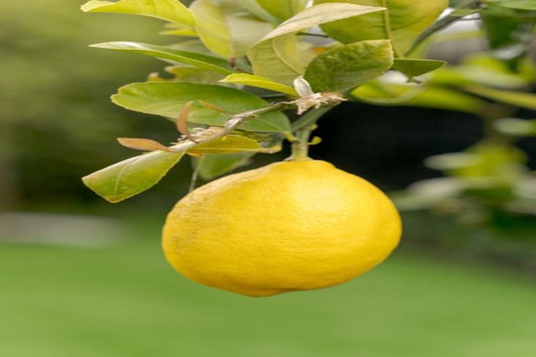 Photo of property in 18 Ardnave Lane, Broomfield, Christchurch, 8042