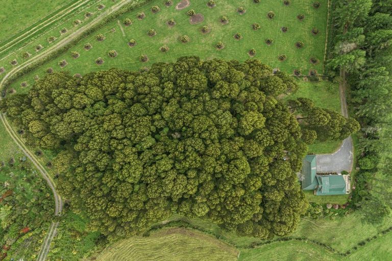 Photo of property in 473a Matahi Road, Rotoma, Whakatane, 3194