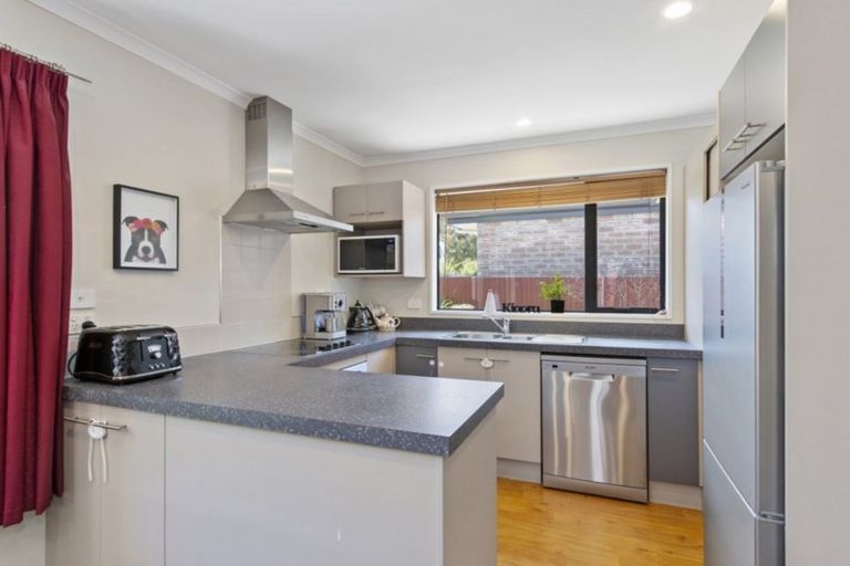 Photo of property in 51 Hume Street, Sydenham, Christchurch, 8023