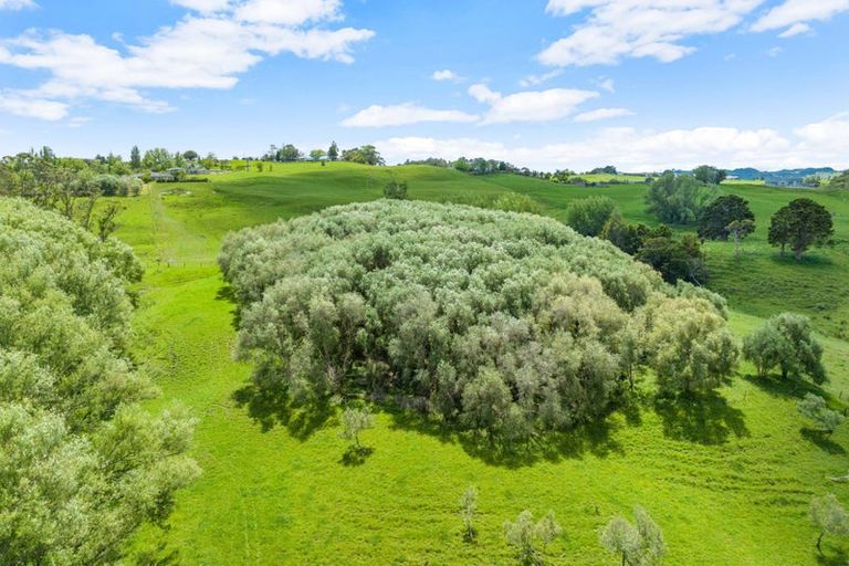 Photo of property in 91 Whaka Street, Maungaturoto, 0520