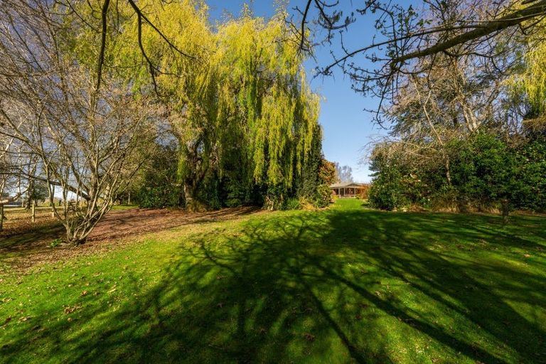 Photo of property in 260 Downs Road, Geraldine Downs, Geraldine, 7991