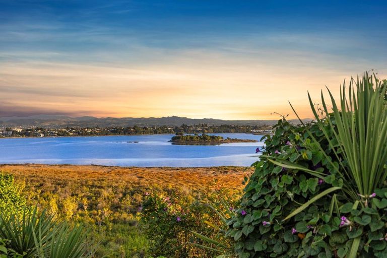 Photo of property in 56 Milton Road, Otumoetai, Tauranga, 3110