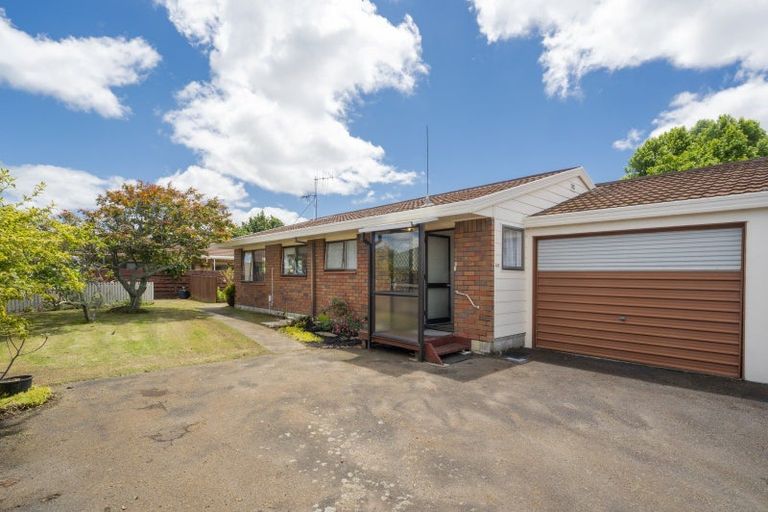 Photo of property in 29a Hayes Avenue, Gate Pa, Tauranga, 3112