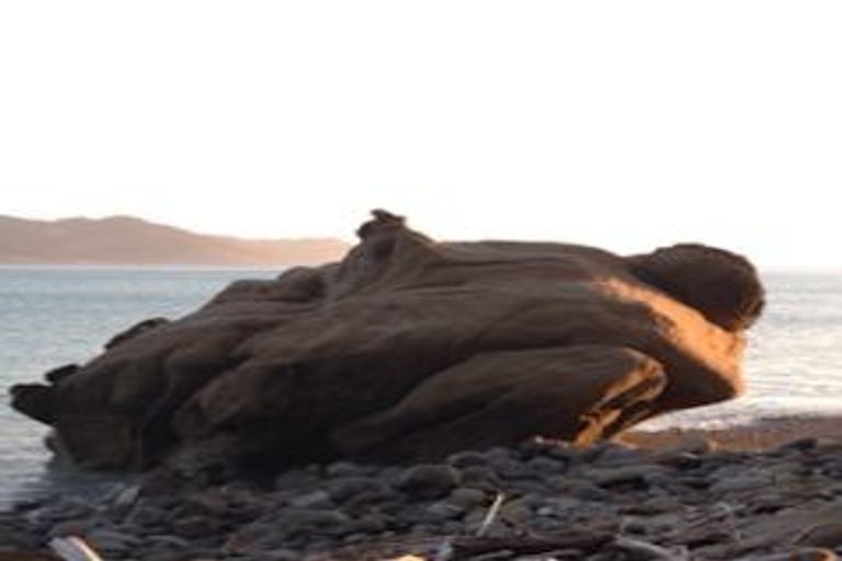 Photo of property in 502 Waipiro Road, Waipiro, Tokomaru Bay, 4079