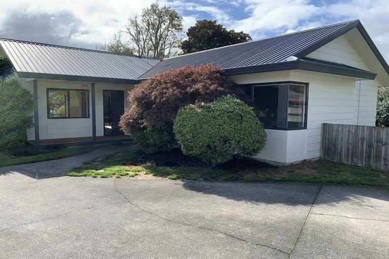 Photo of property in 12a Commodore Avenue, Flagstaff, Hamilton, 3210