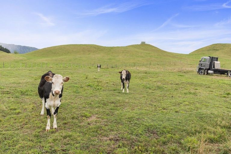 Photo of property in 459 Whirinaki Valley Road, Ngakuru, Rotorua, 3077