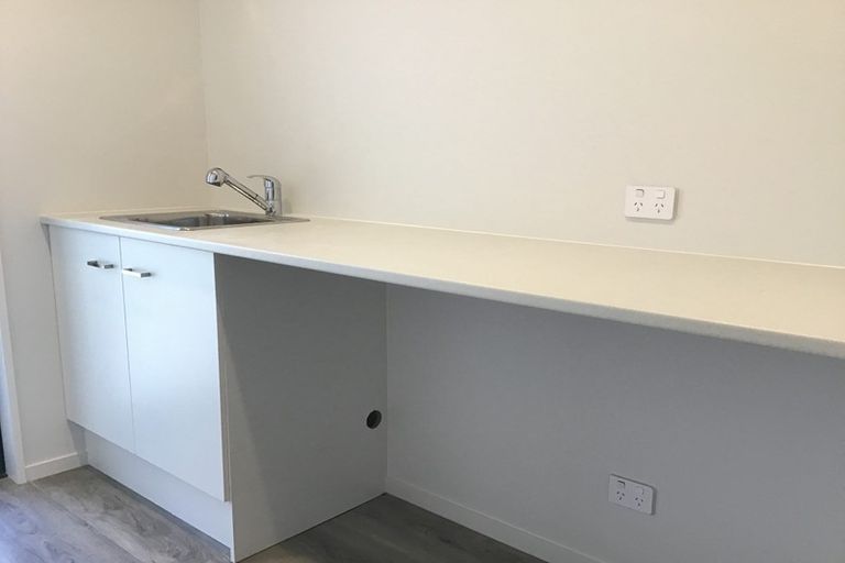 Photo of property in 28 Bonecrusher Street, Lincoln, 7608