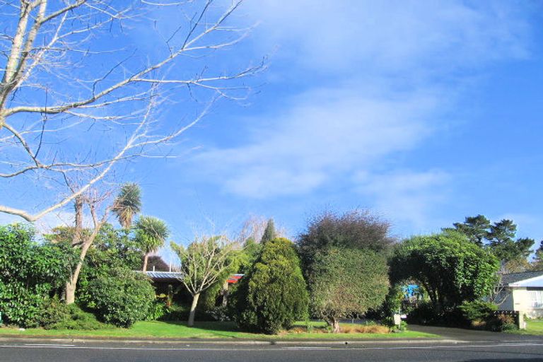 Photo of property in 119 Flaxmere Avenue, Flaxmere, Hastings, 4120