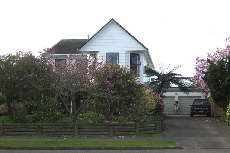 Photo of property in 91 Kennedy Drive, Levin, 5510