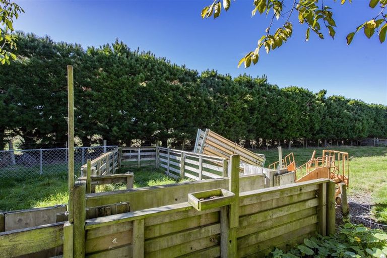 Photo of property in 415 Rangiora Leithfield Road, Sefton, Rangiora, 7477