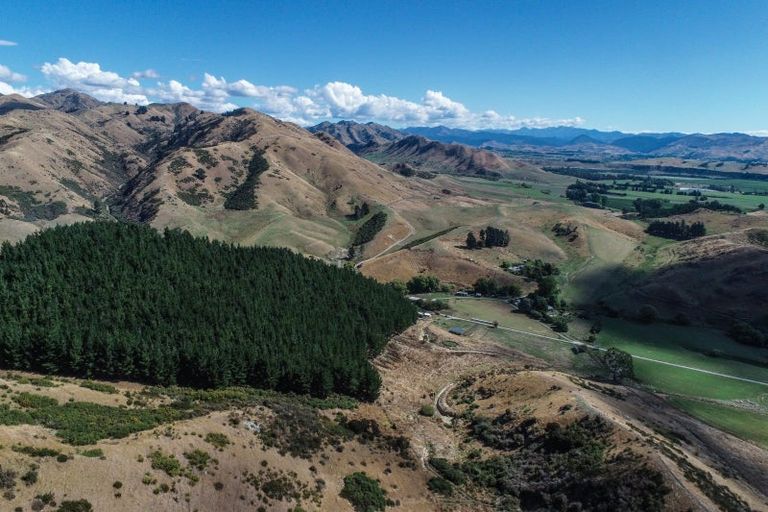 Photo of property in 287 Barracks Road, Hawkesbury, Renwick, 7272