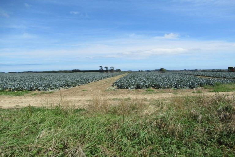 Photo of property in 1272 State Highway 1, Manakau, Otaki, 5583