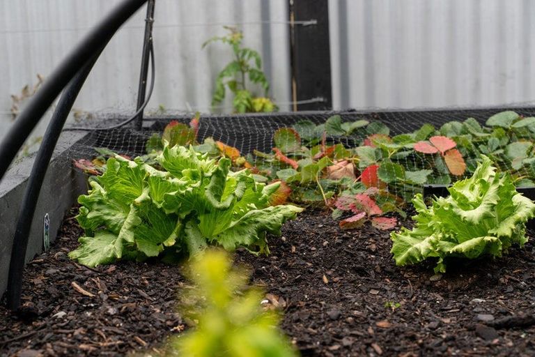 Photo of property in 92 Barry Avenue, Cromwell, 9310