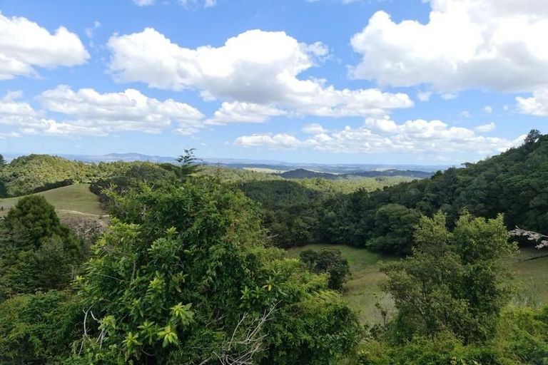 Photo of property in 489 Ruapekapeka Road, Towai, Hikurangi, 0182