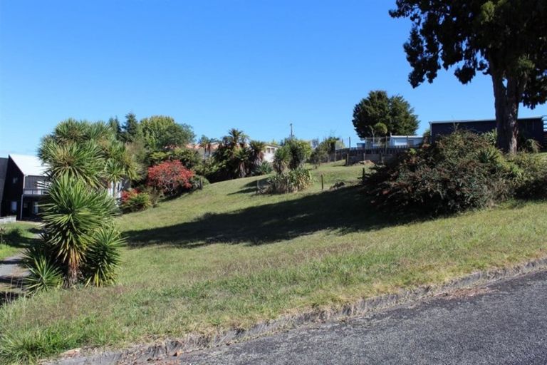 Photo of property in 1/13 Rimu Street, Mangakino, 3421