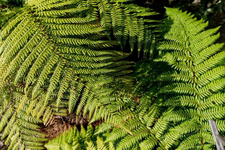 Photo of property in 596 Brighton Road, Westwood, Dunedin, 9035