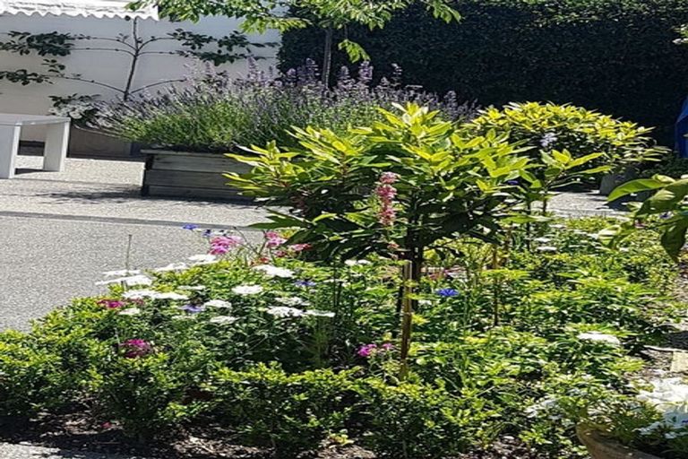 Photo of property in 7 Graham Grove, Waikanae, 5036