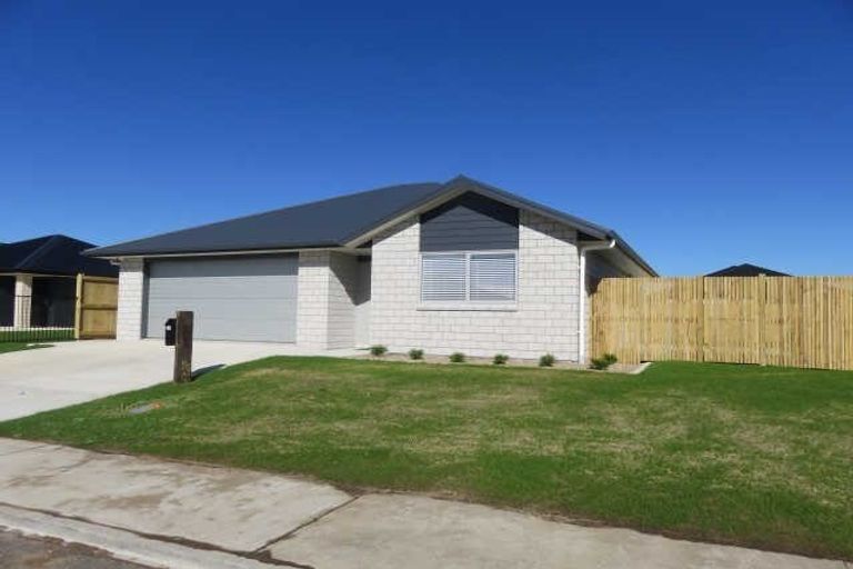 Photo of property in 14 Ladeira Place, Fitzroy, Hamilton, 3206