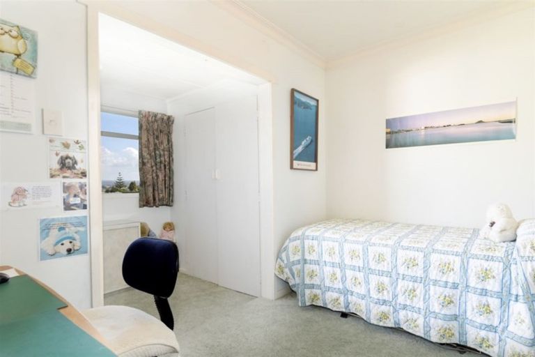 Photo of property in 224 Waihi Road, Judea, Tauranga, 3110