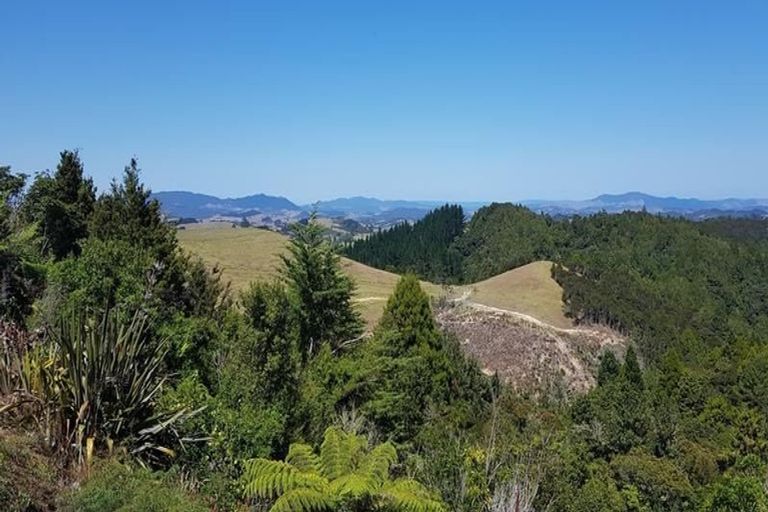 Photo of property in 489 Ruapekapeka Road, Towai, Hikurangi, 0182