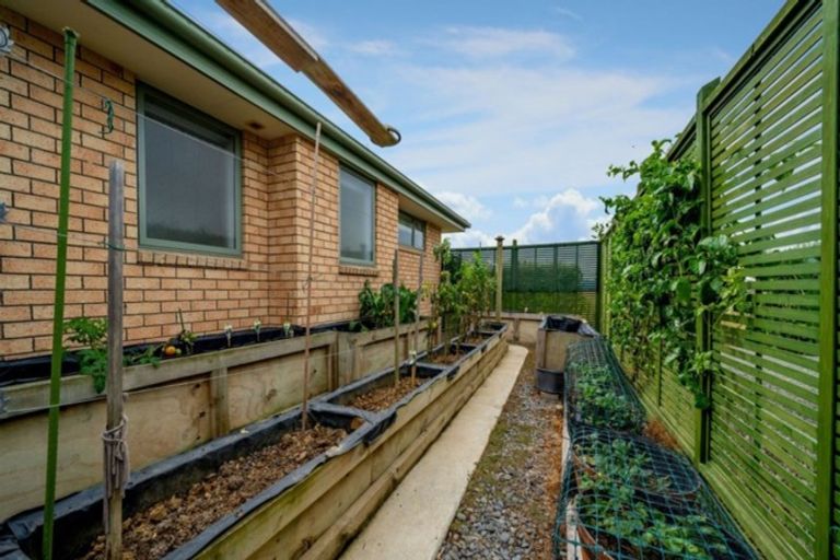 Photo of property in 78 Orongo Road, Orongo, Thames, 3574