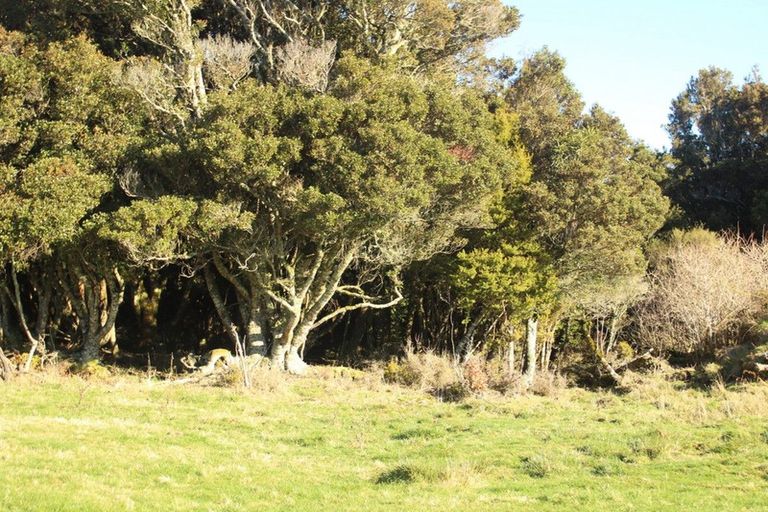 Photo of property in Matapuna Road, Horopito, Raetihi, 4696