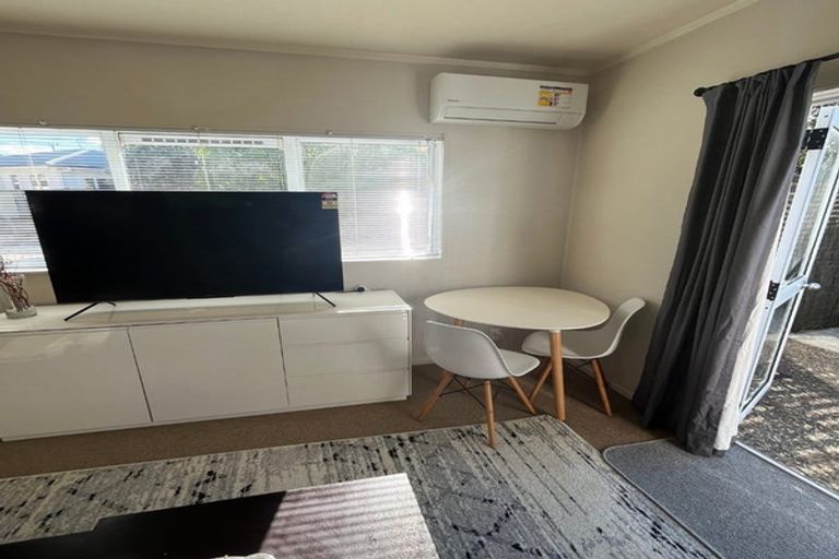 Photo of property in 53 Empire Road, Epsom, Auckland, 1023