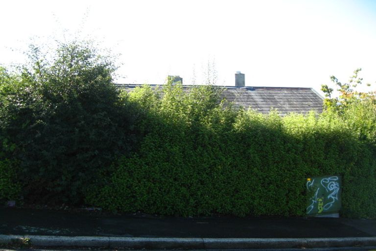 Photo of property in 66 Shetland Street, Wakari, Dunedin, 9010