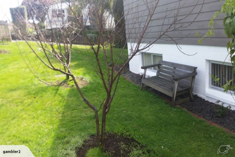 Photo of property in 80 Taipari Street, Maungatapu, Tauranga, 3112