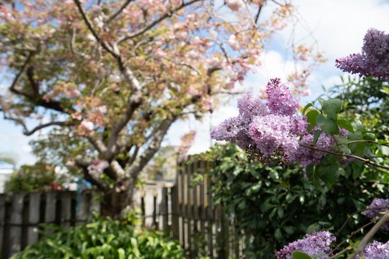 Photo of property in 143 Dixon Street, Masterton, 5810